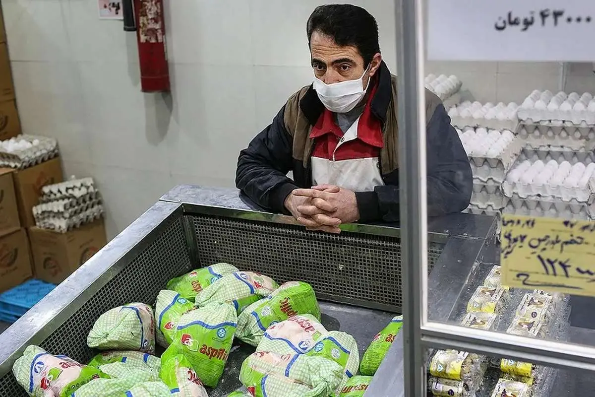 قیمت جدید مرغ در بازار مشخص شد