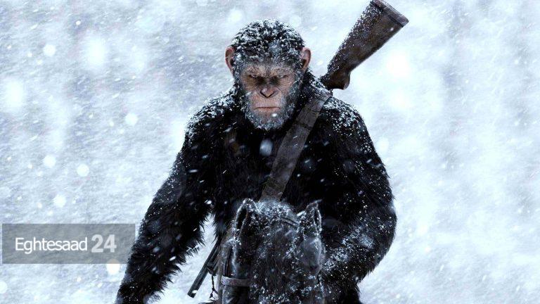 جنگجویان انسان-شامپانزه