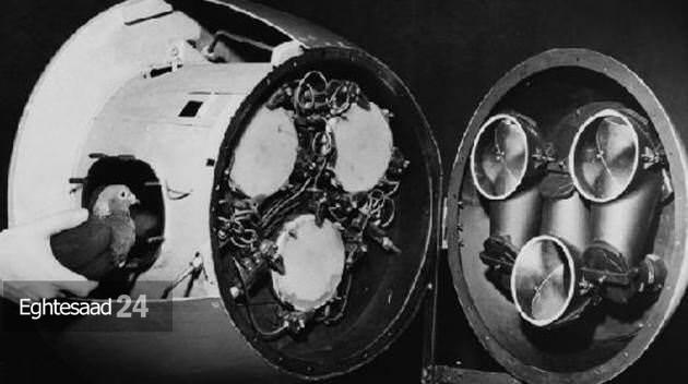 بمب هدایت شونده توسط کبوتر