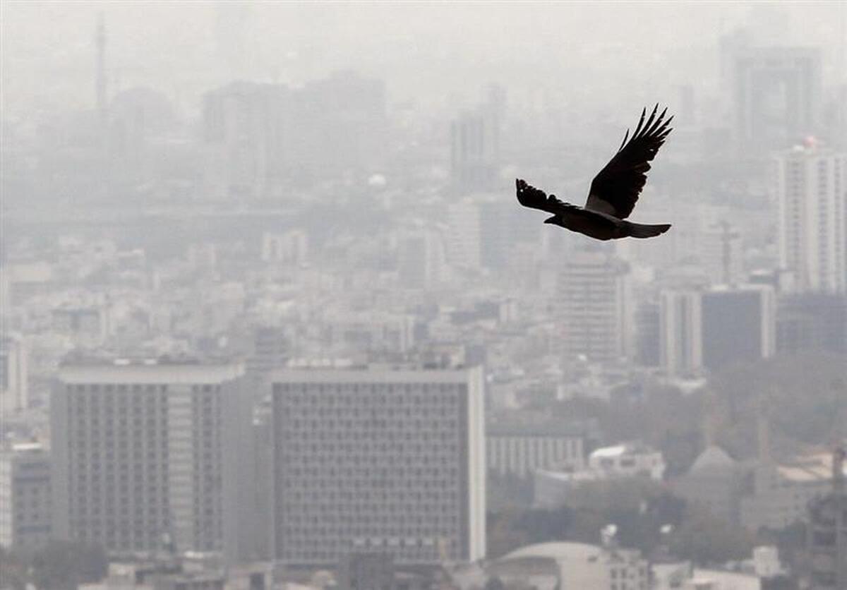 بازار مسکن تهران