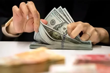 در رفتن فنر قیمت دلار چه بلایی بر سر زندگی مردم می‌آورد؟