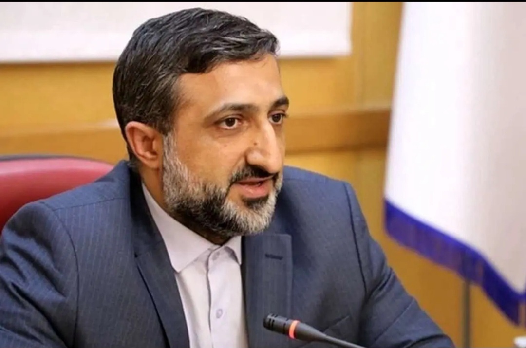 سید حامد عاملی