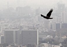 قیمت هر متر عرصه در بازار مسکن تهران زیر ۱۵۰ میلیون!