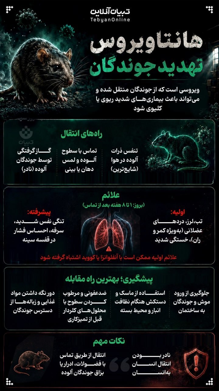 هانتاویروس چیست؟؛ پس از خفاش‌ها، نوبت به موش‌ها رسیده است!