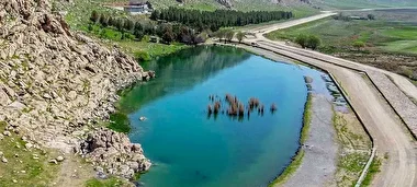 زیبایی‌های طبیعت بهاری تالاب هشیلان کرمانشاه