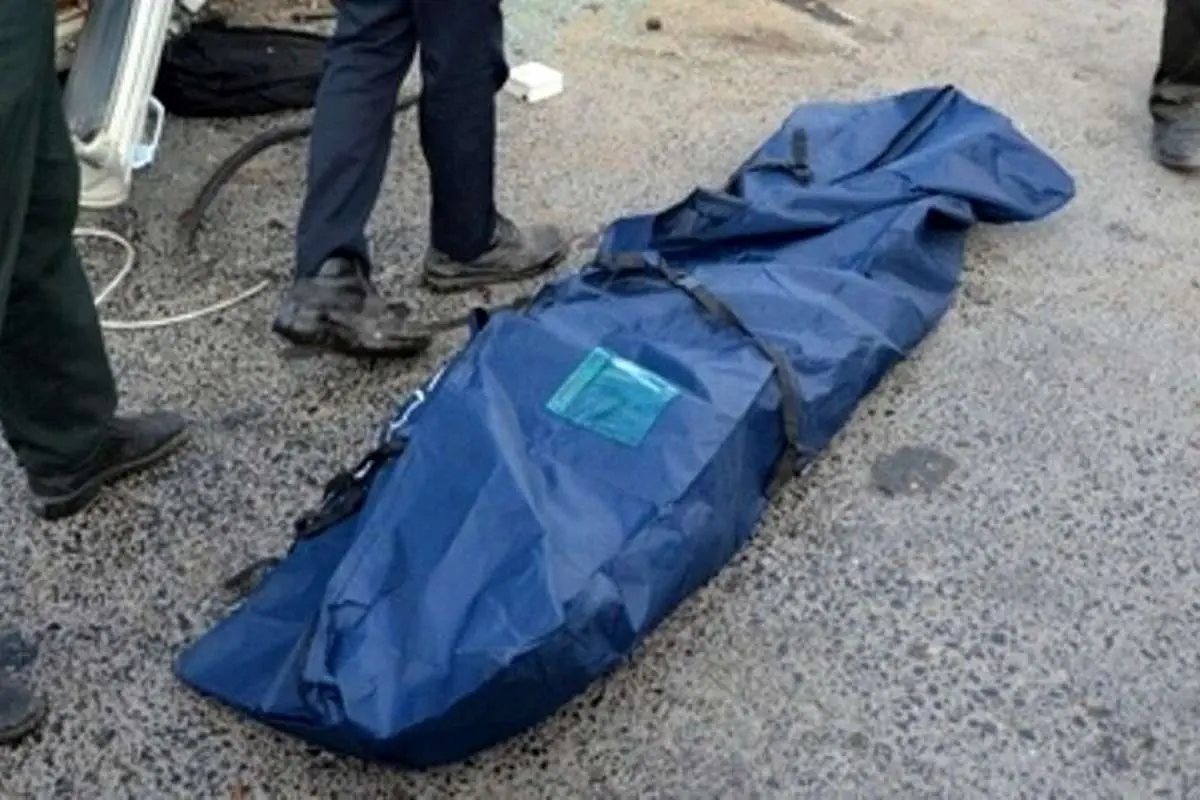 قتل مریم آقابابایی به‌دست راننده