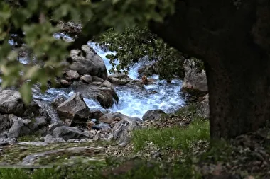 رقص چشمه‌های دروغین در دل کوهستان