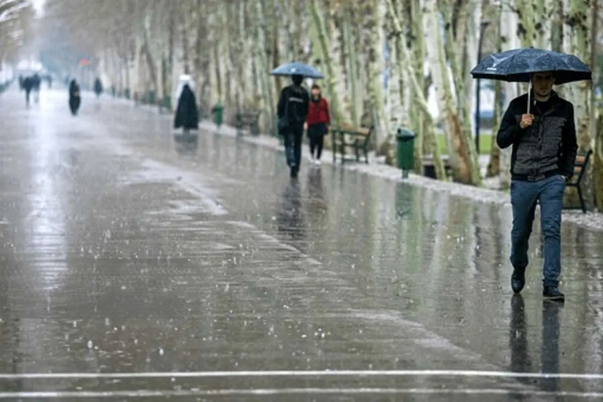 بارش باران در کشور بارش باران در کشور