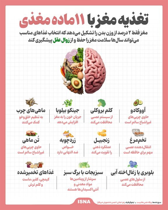 تغذیه مغز با ۱۱ ماده مغذی مفید و سالم