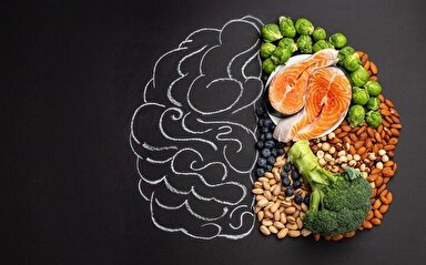 اینفوگرافی/ تغذیه مغز با ۱۱ ماده مغذی مفید و سالم