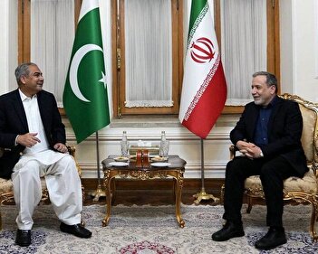 فیلم/ دیدار وزیر کشور پاکستان با عباس عراقچی