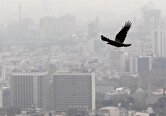 قیمت هر متر عرصه در بازار مسکن تهران زیر ۱۵۰ میلیون!