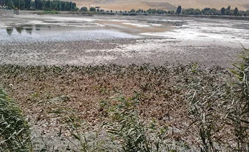 عکس/ سراب نیلوفر دوباره جان گرفت