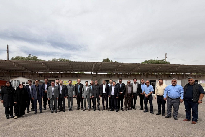 نوسازی شعبه خسارت بیمه ایران و توسعه زنجیره ارزش در کرمان