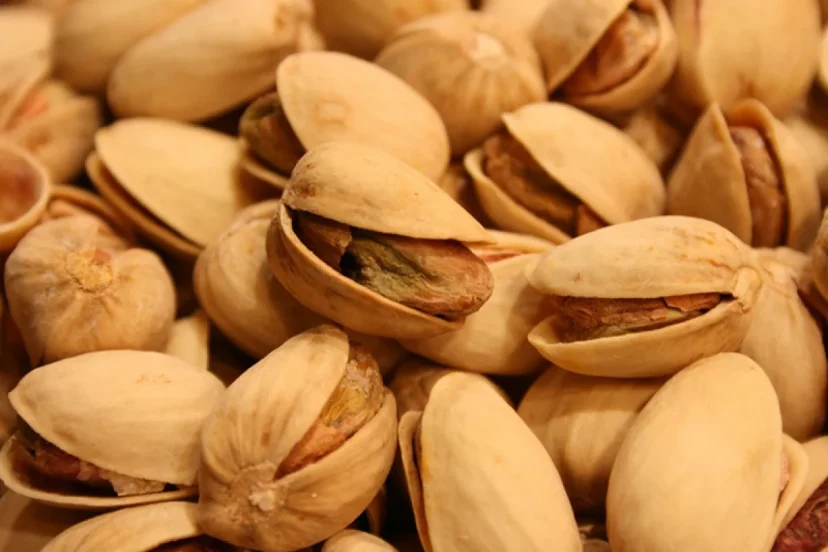 الجزیره: صادرات پسته ایران سد محاصره دریایی را شکست