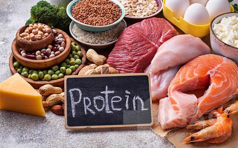 مقاومت به پروتئین