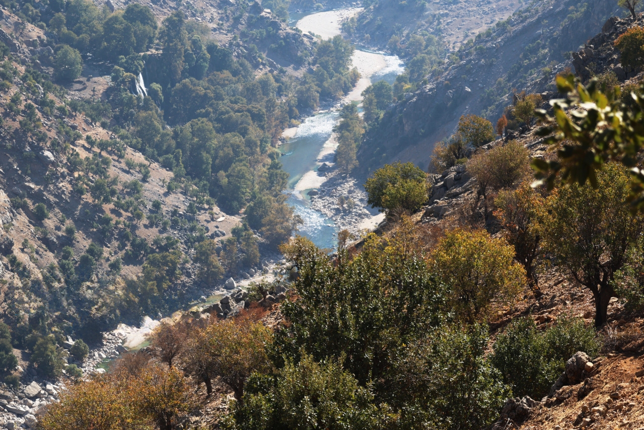 زاگرس در انتظار فصل آتش