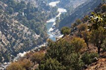 زاگرس در انتظار فصل آتش؛ بارش‌های گسترده احتمال وقوع آتش‌سوزی در جنگل زاگرس را افزایش داد