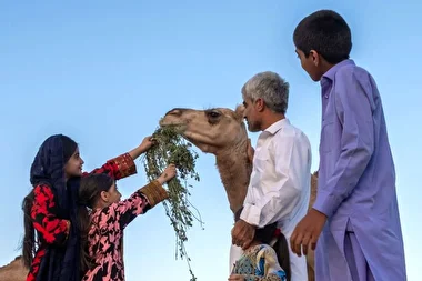 سیستان و بلوچستان شهر سوخته و سرزمین باد و دریا