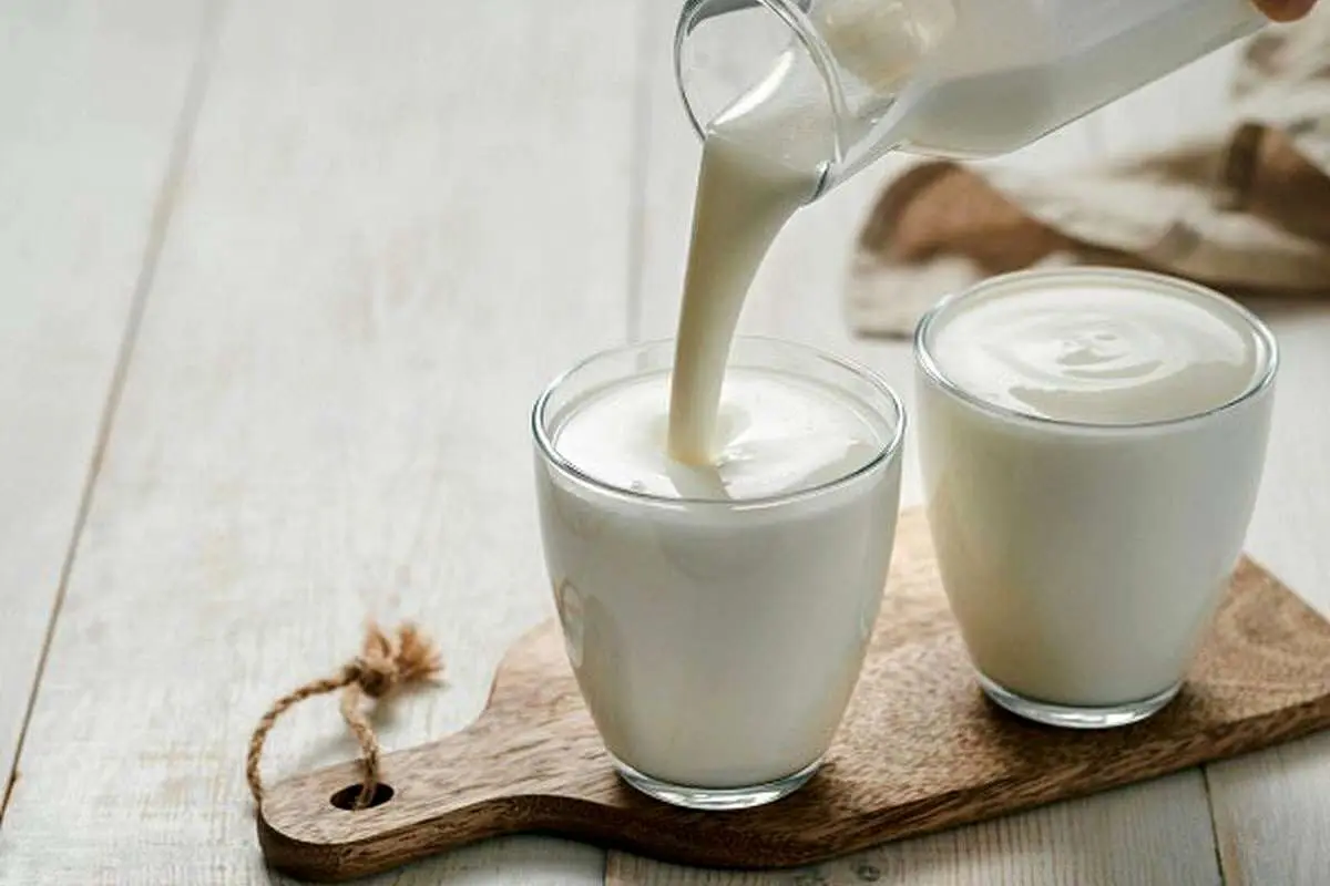 نوشیدن شیر گاو
