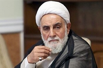 عکس/ دیدار صمیمانه مهدی کروبی و علی‌اکبر ناطق‌نوری