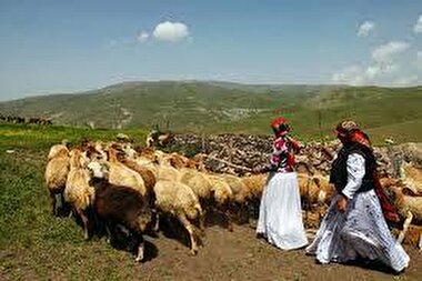 برگزاری سی‌ویکمین جشنواره عشایر آذربایجان