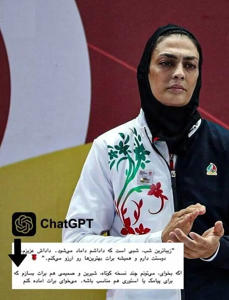 شهربانو منصوریان و فضای مجازی
