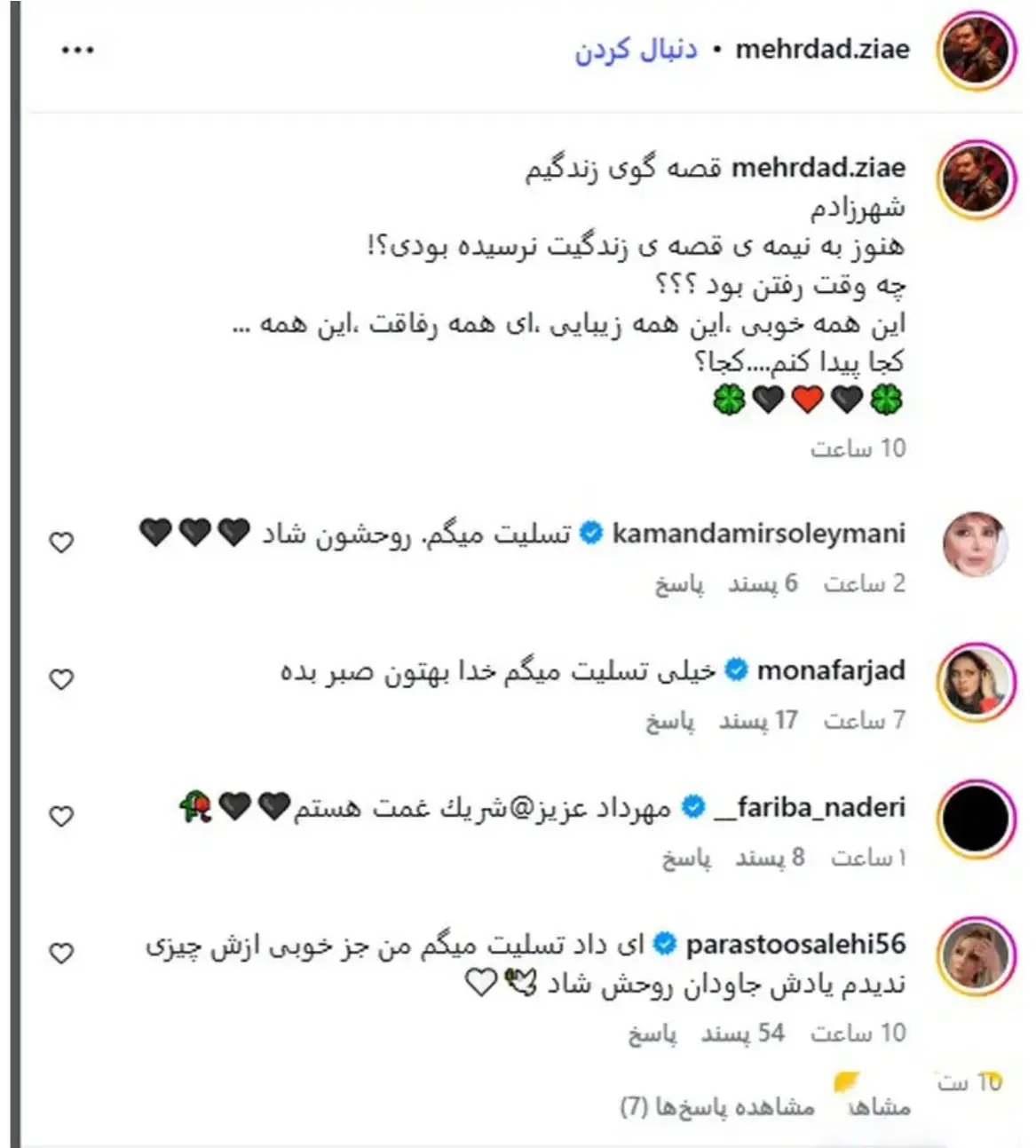 دلنوشته مهرداد ضیایی برای همسرش