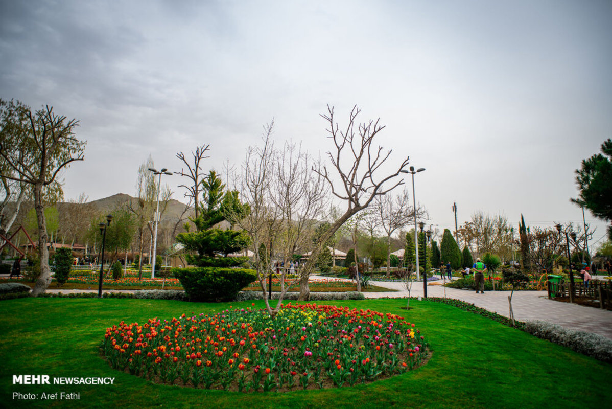 جشنواره گل پارک چمران کرج