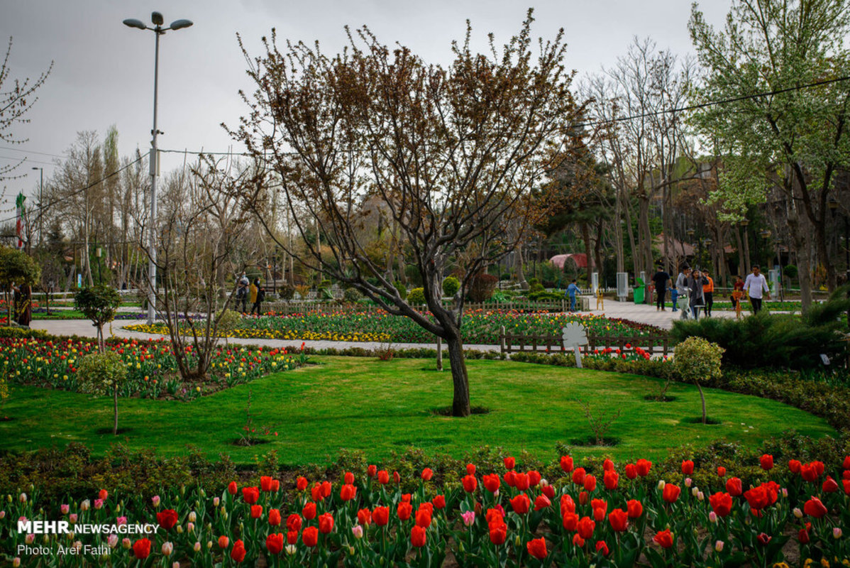 جشنواره گل پارک چمران کرج
