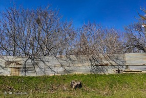 تهران خلوت و بهاری دیدنی تر از هر زمان دیگری است. خواه علت رفتن تهرانی ها به سفرهای نوروزی باشد یا رعایت پروتکل های بهداشتی برای مبتلا نشدن به بیماری کرونا در این روزهای بهاری هرجای تهران که فکرش را بکنی دیدنی است.