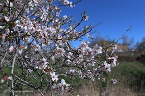 تهران خلوت و بهاری دیدنی تر از هر زمان دیگری است. خواه علت رفتن تهرانی ها به سفرهای نوروزی باشد یا رعایت پروتکل های بهداشتی برای مبتلا نشدن به بیماری کرونا در این روزهای بهاری هرجای تهران که فکرش را بکنی دیدنی است.