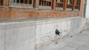 به نظر می رسد که متولیان برخی اماکن عمومی مانند موزه هنرهای تزئینی معاصر در اصفهان خانه بدون انجام خانه تکانی به استقبال نوروز رفته اند.