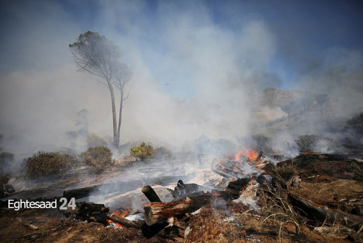 آتش سوزی گسترده در پارک ملی شهر کیپ تاون