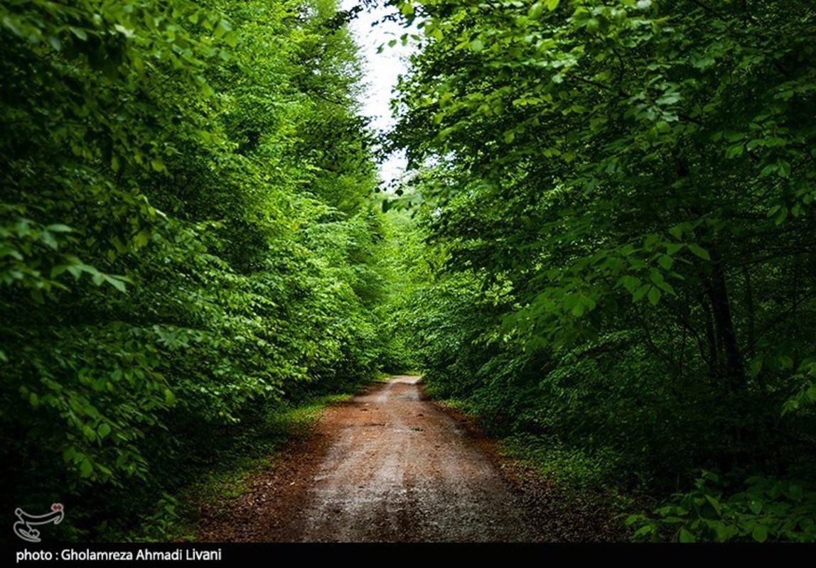 روستای الندان