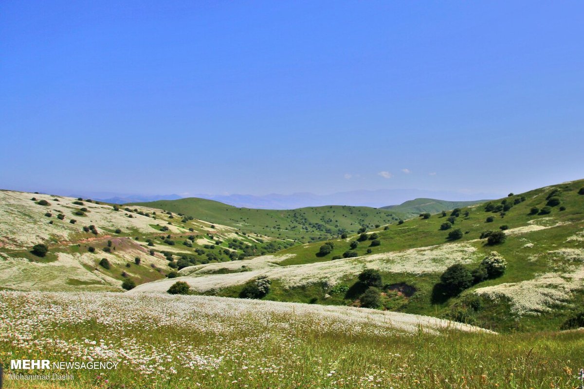 گلستانی در میان ابر و جنگل