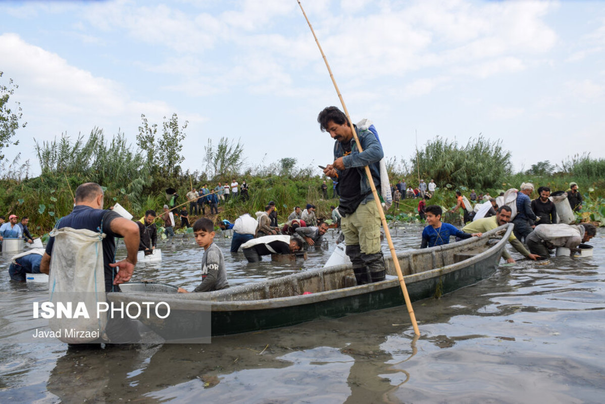 ماهیگیری سنتی در رودبست بابلسر مازندران