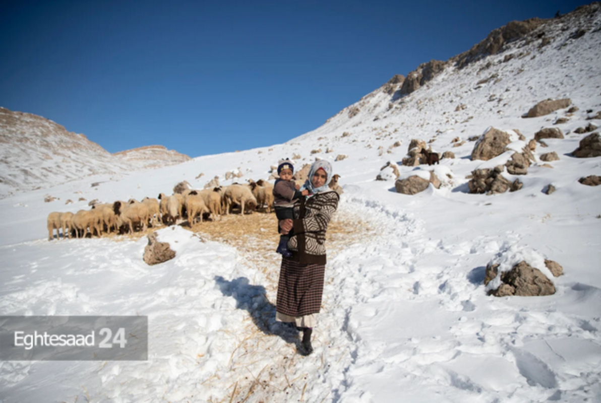 برف سنگین در روستا‌های دور افتاده مراکش 