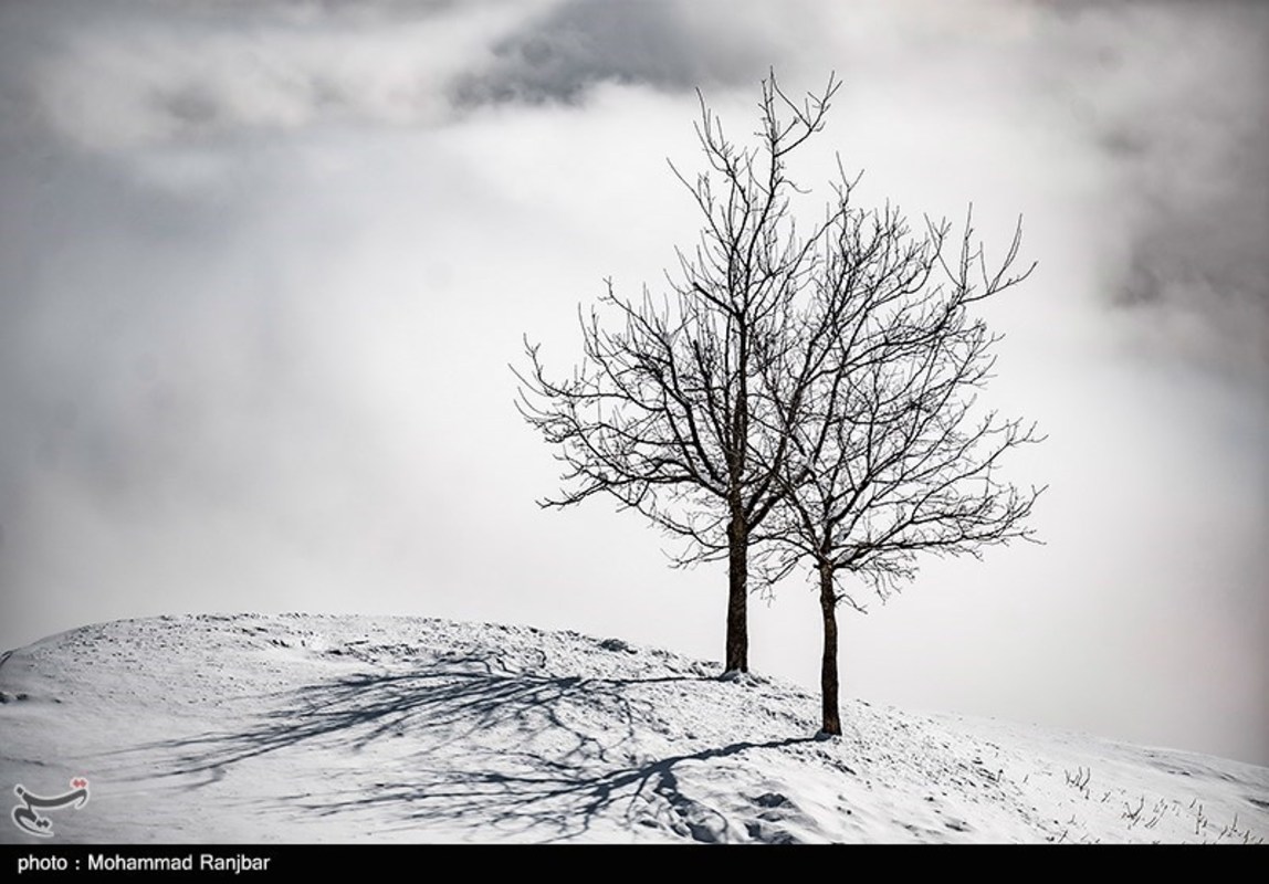 طبیعت گردی