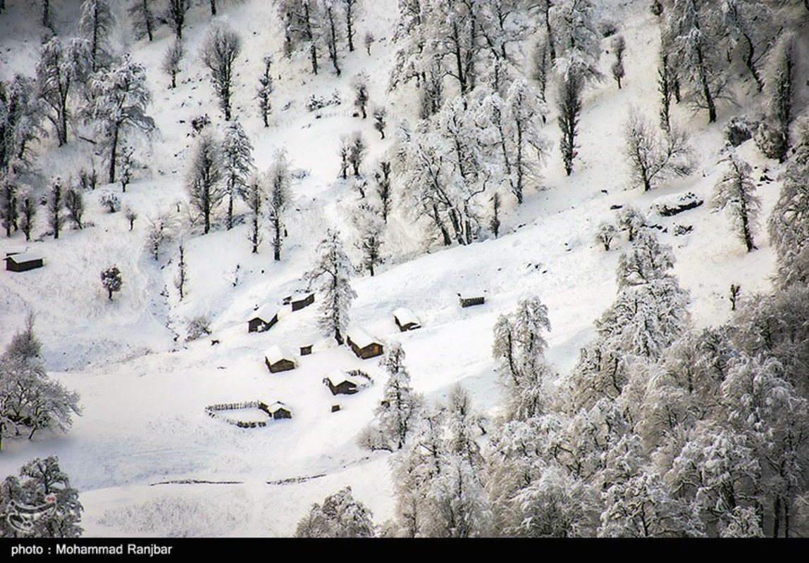 طبیعت گردی