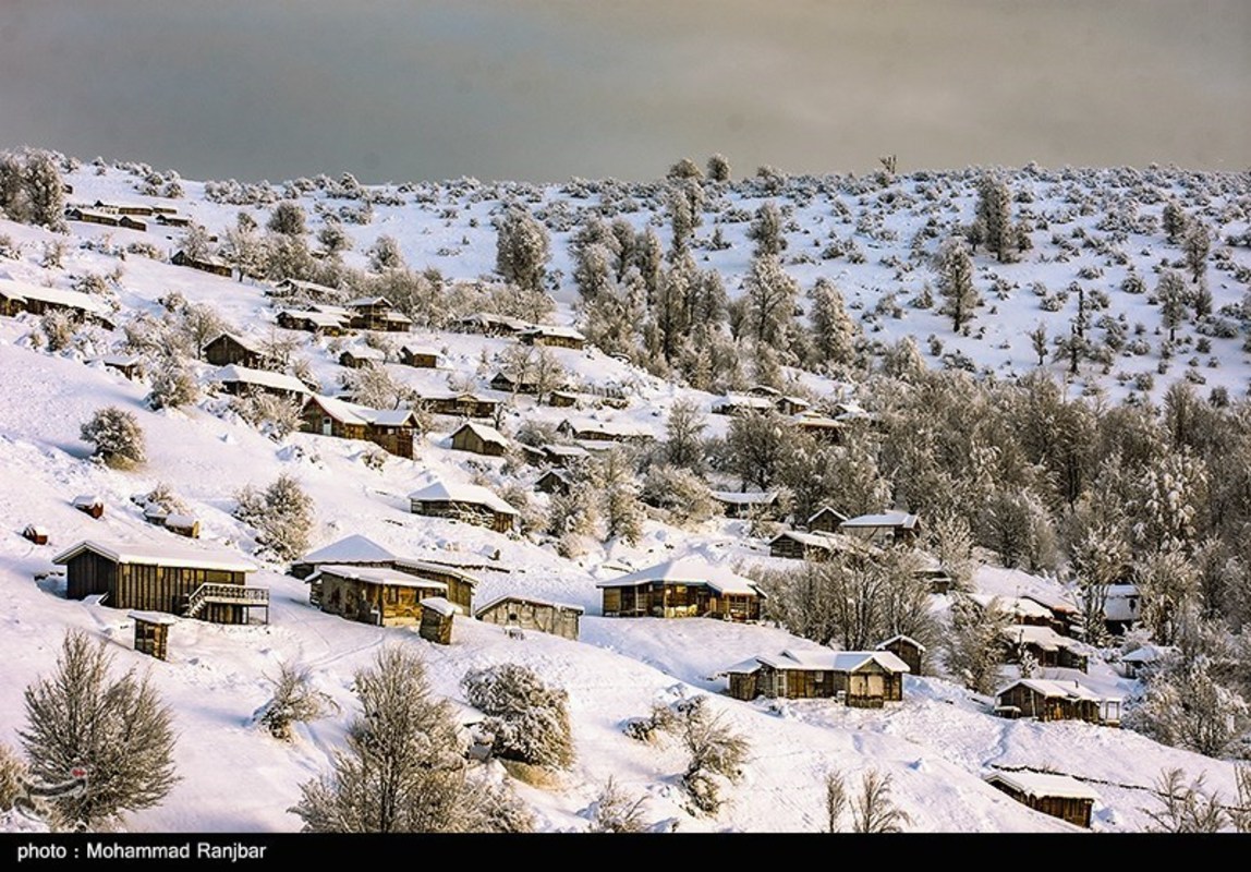 طبیعت گردی