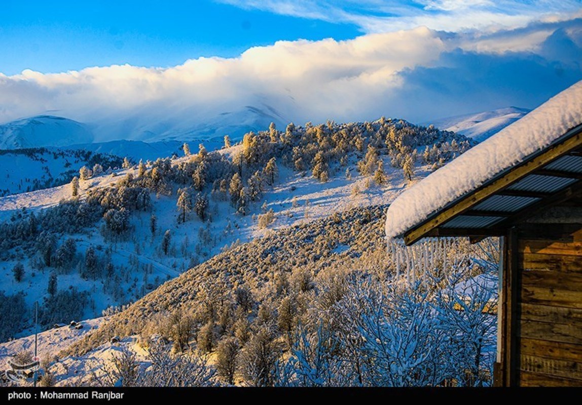 طبیعت گردی