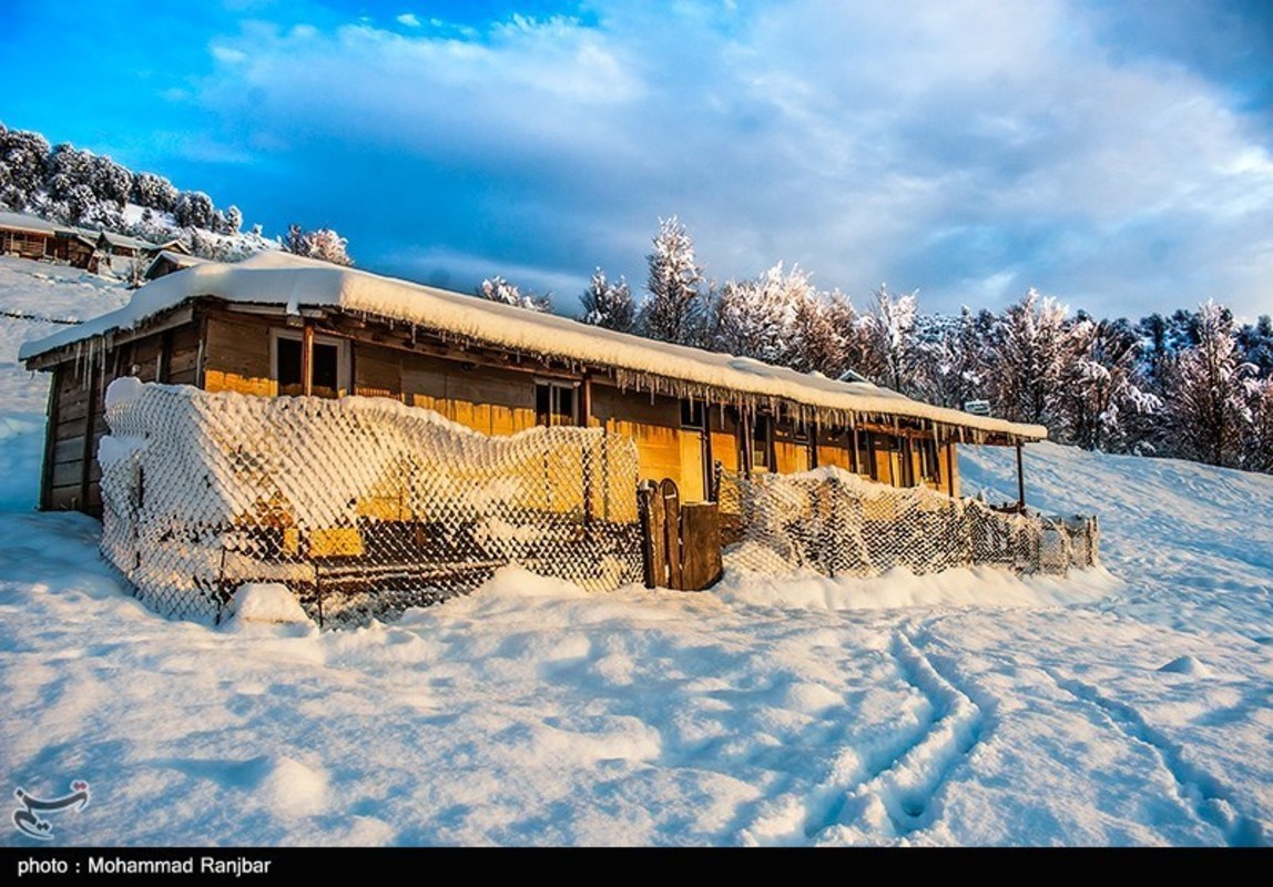 طبیعت گردی