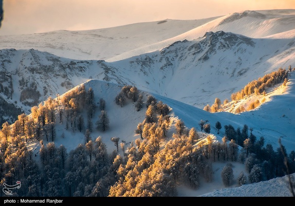 طبیعت گردی