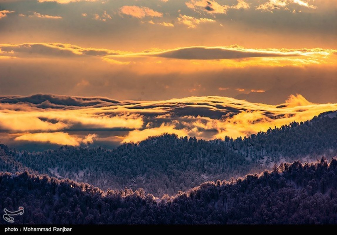 طبیعت گردی