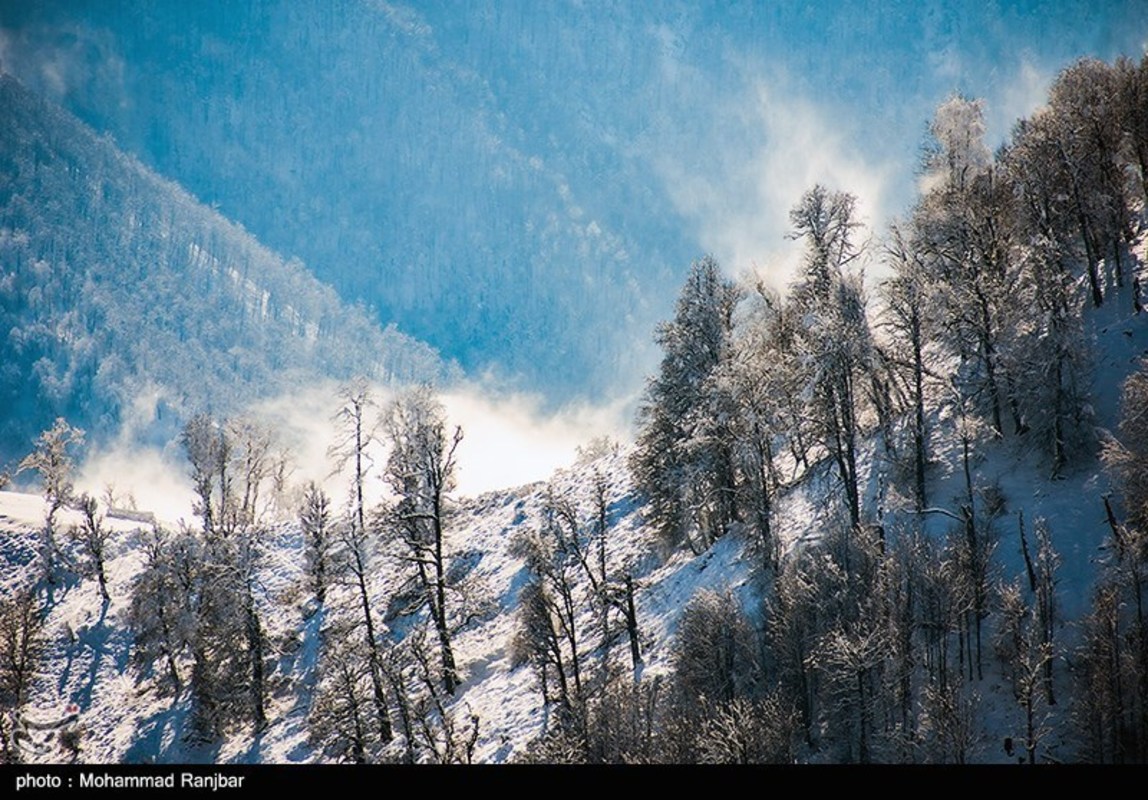 طبیعت گردی