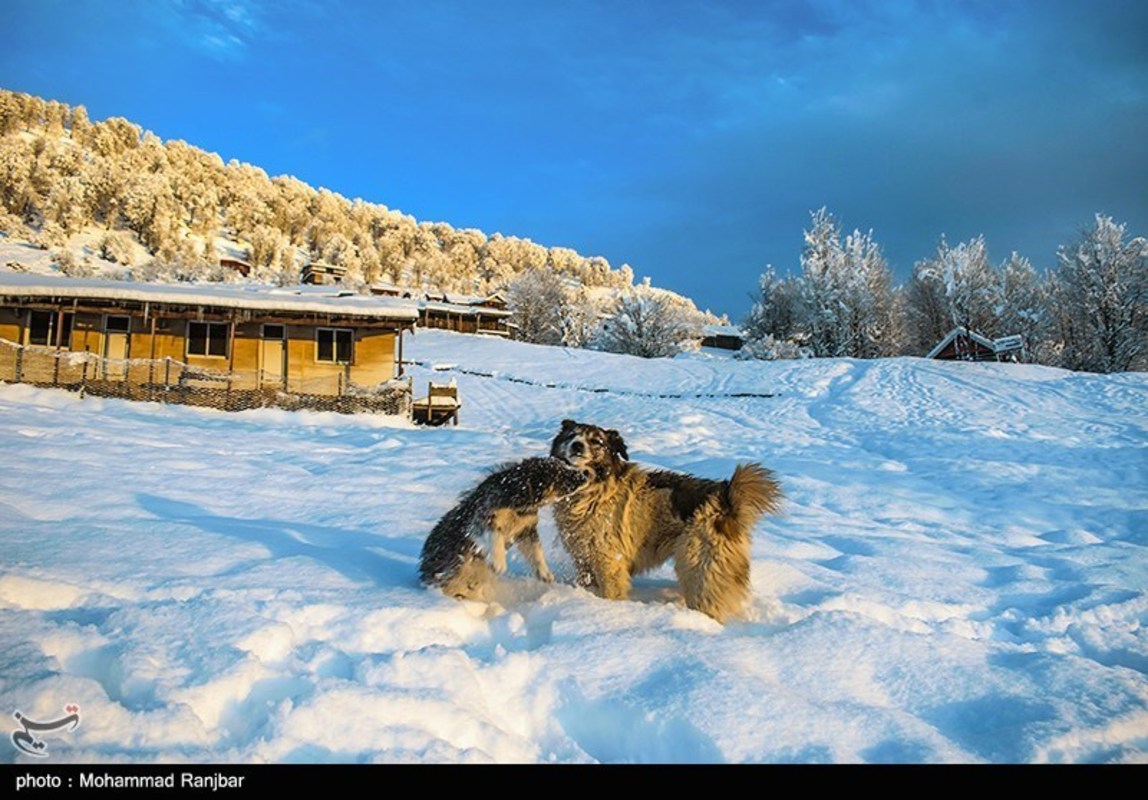 طبیعت گردی