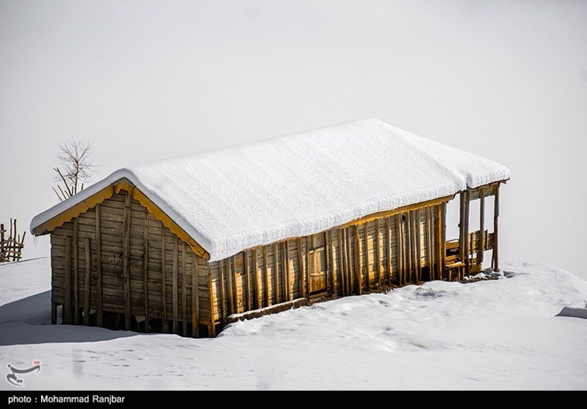 طبیعت گردی