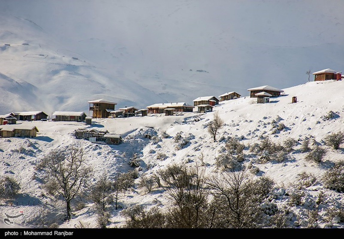 طبیعت گردی