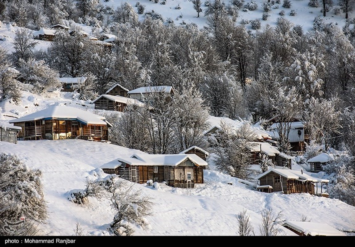 طبیعت گردی